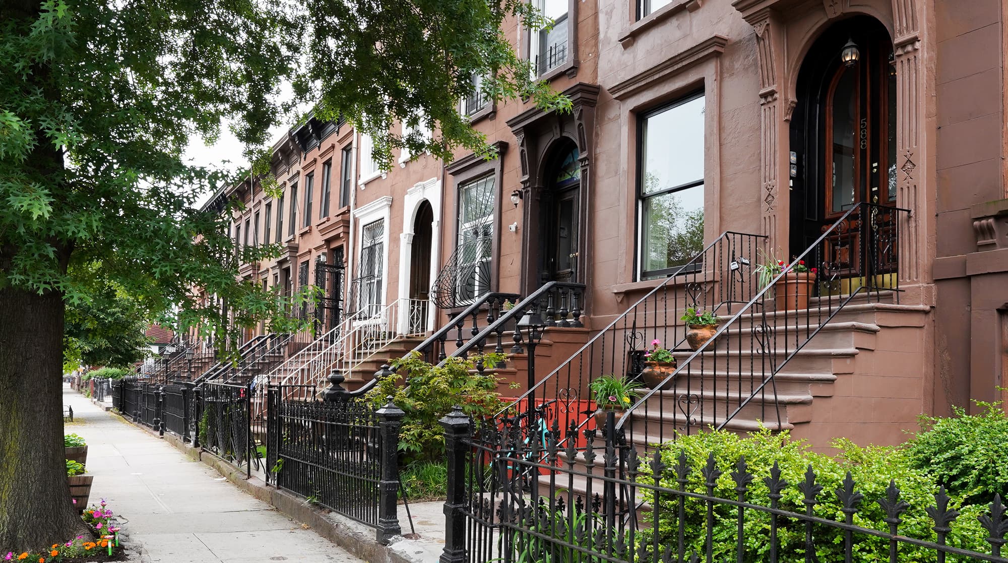 Bedford-Stuyvesant, Bedford-Stuyvesant — Luxury furnished apartment in Bedford Stuyvesant, New York City