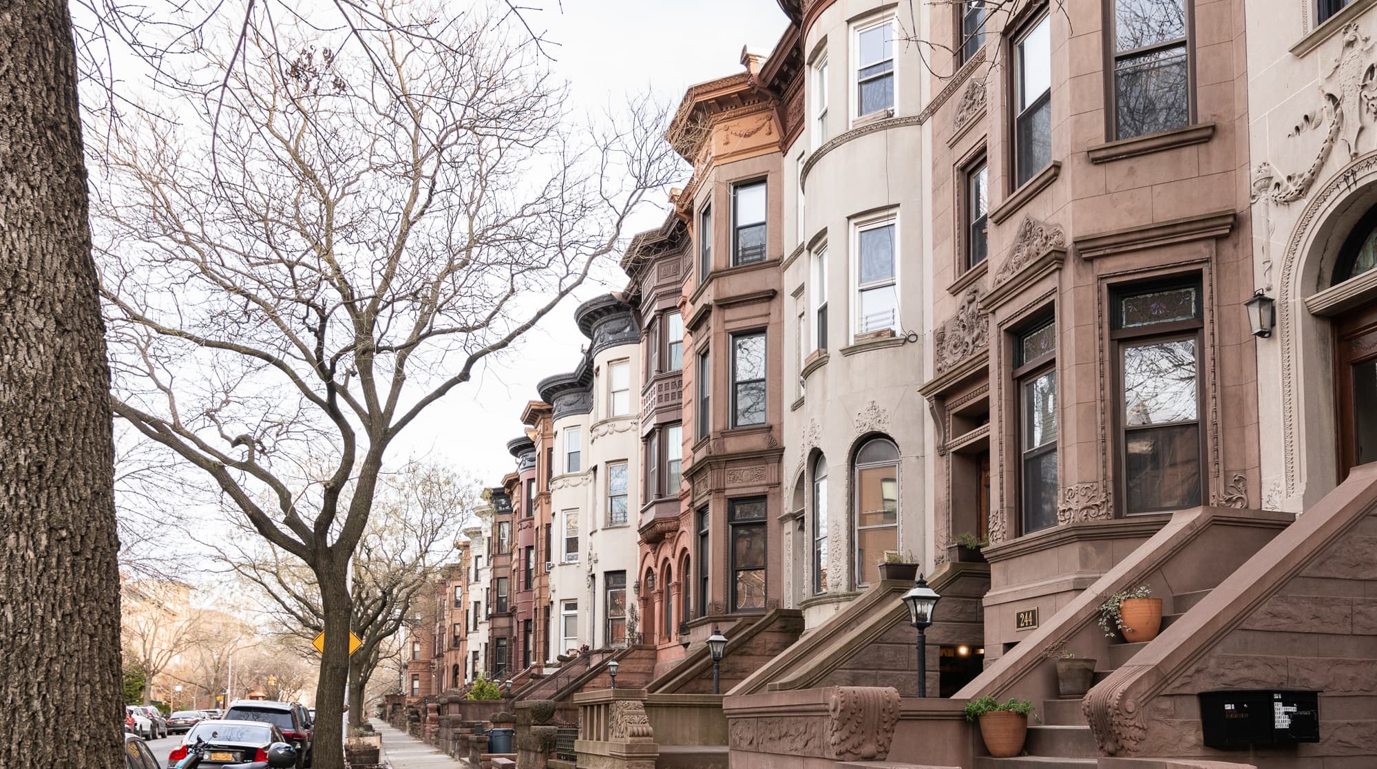 Bedford-Stuyvesant, Bedford-Stuyvesant — Luxury furnished apartment in Bedford Stuyvesant, New York City