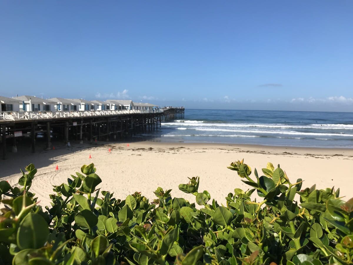 Pacific Beach, San Diego — Luxury furnished apartment in Pacific Beach, San Diego