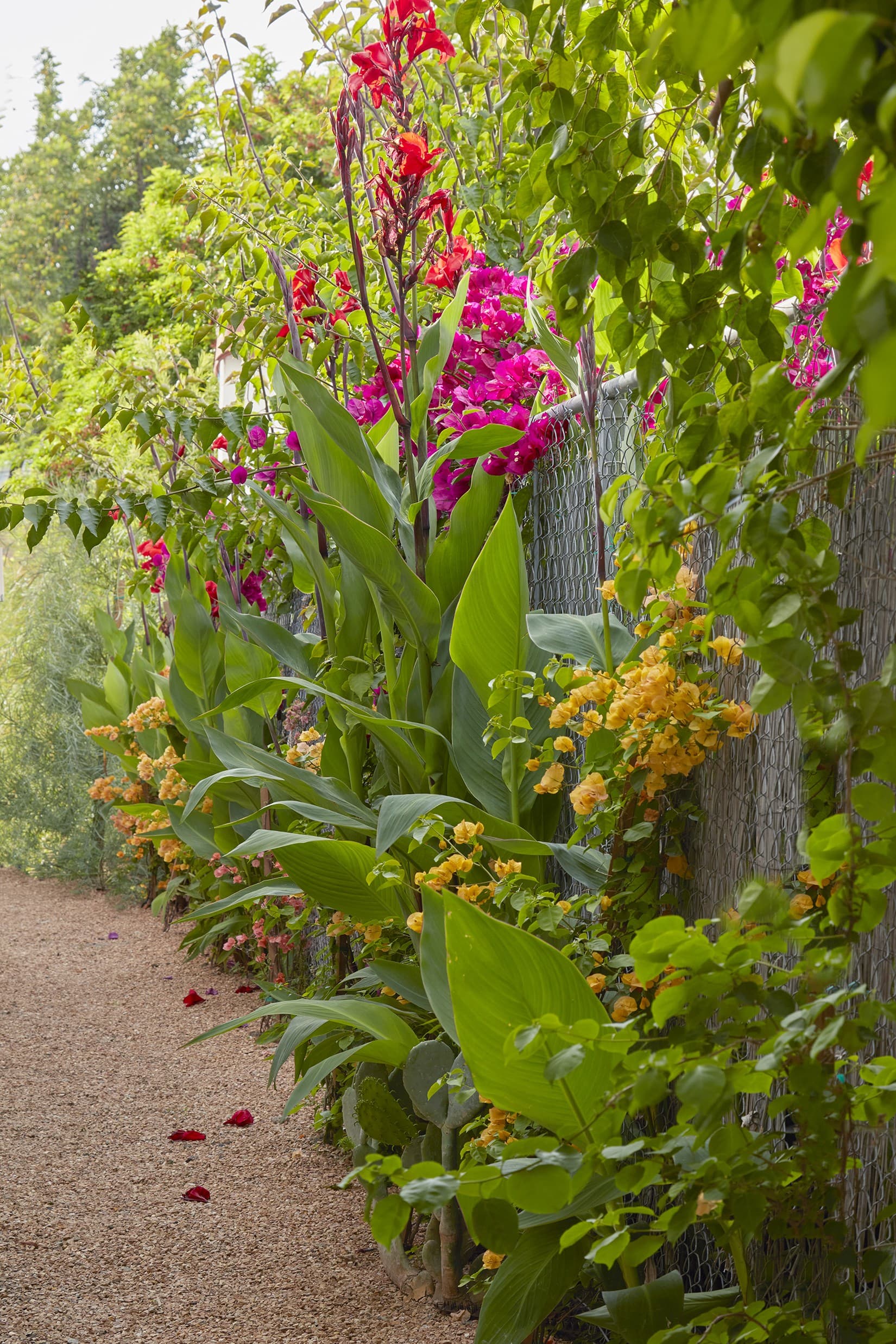 Los Feliz, Los Angeles — Luxury furnished apartment in Los Feliz, Los Angeles