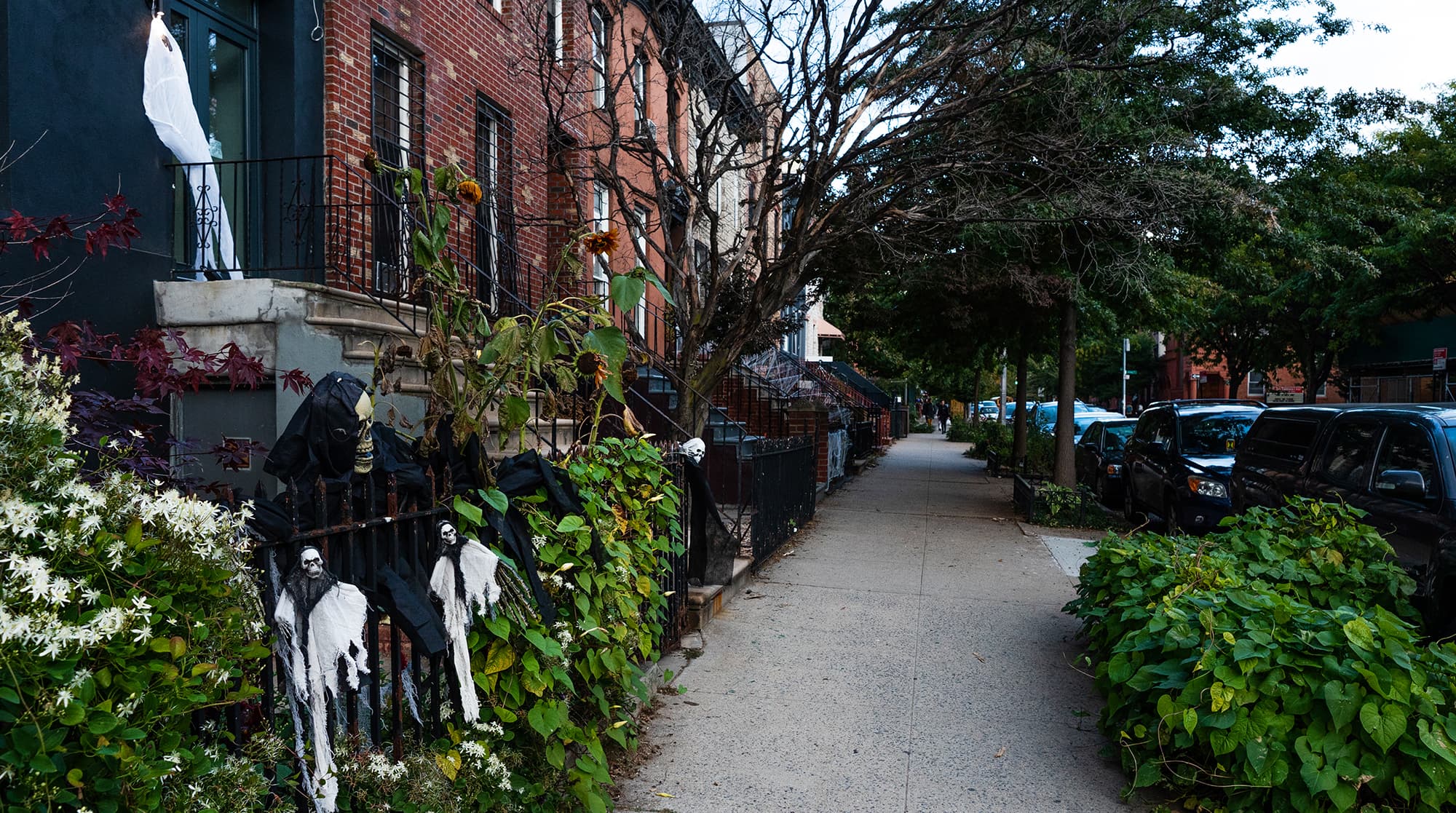 Clinton Hill, Clinton Hill — Luxury furnished apartment in Clinton Hill, New York City